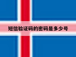 短信验证码的密码是多少号