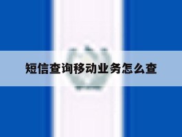 短信查询移动业务怎么查