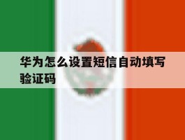 华为怎么设置短信自动填写验证码
