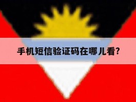 手机短信验证码在哪儿看?