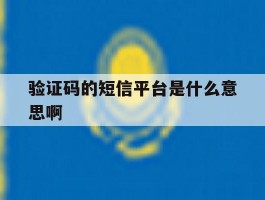 验证码的短信平台是什么意思啊