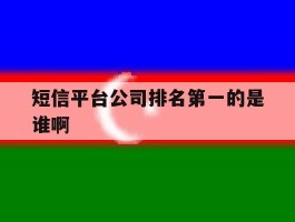 短信平台公司排名第一的是谁啊