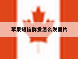 苹果短信群发怎么发图片