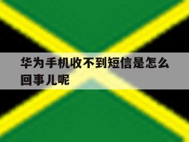 华为手机收不到短信是怎么回事儿呢
