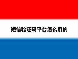 短信验证码平台怎么用的