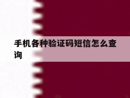 手机各种验证码短信怎么查询