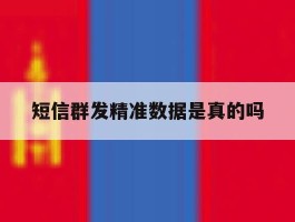 短信群发精准数据是真的吗