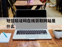 短信验证码在线获取网站是什么