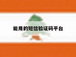 能用的短信验证码平台