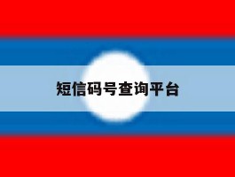 短信码号查询平台