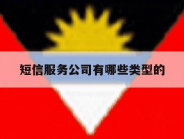 短信服务公司有哪些类型的