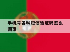手机号各种短信验证码怎么回事