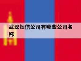 武汉短信公司有哪些公司名称