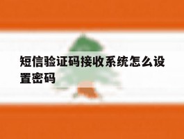 短信验证码接收系统怎么设置密码