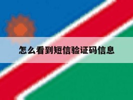 怎么看到短信验证码信息