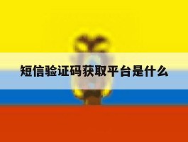 短信验证码获取平台是什么