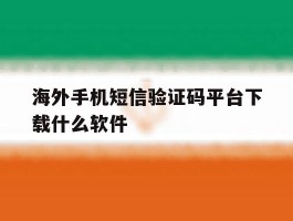 海外手机短信验证码平台下载什么软件