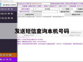 发送短信查询本机号码