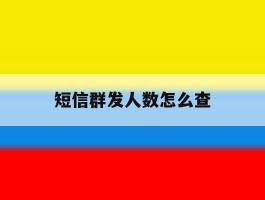 短信群发人数怎么查