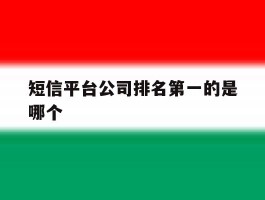 短信平台公司排名第一的是哪个