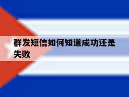 群发短信如何知道成功还是失败
