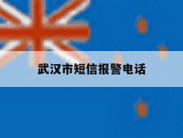 武汉市短信报警电话