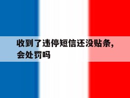 包含收到了违停短信还没贴条,会处罚吗的词条