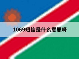 关于1069短信是什么意思呀的信息