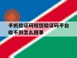 手机验证码短信验证码平台收不到怎么回事