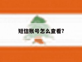 短信账号怎么查看?