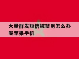 大量群发短信被禁用怎么办呢苹果手机