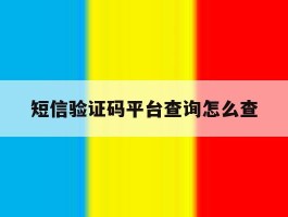 短信验证码平台查询怎么查