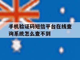 手机验证码短信平台在线查询系统怎么查不到