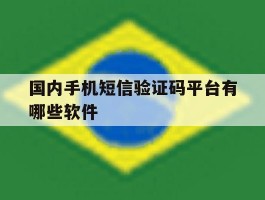 国内手机短信验证码平台有哪些软件