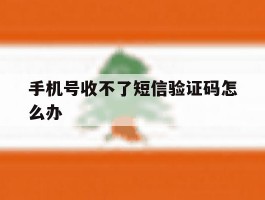 手机号收不了短信验证码怎么办