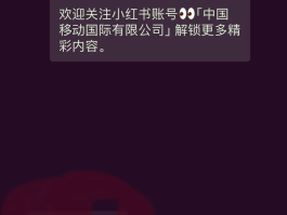 国内手机号接收国外短信验证码