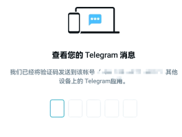 关于在国外收不到短信验证码怎么办,有没有替代的接收方式?的信息