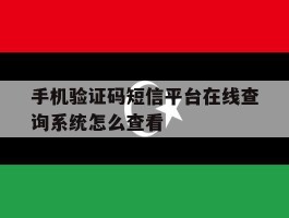 手机验证码短信平台在线查询系统怎么查看