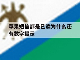 苹果短信都是已读为什么还有数字提示