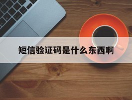 短信验证码是什么东西啊