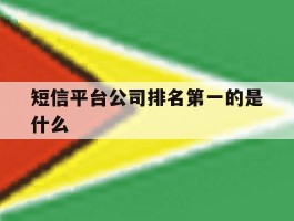 短信平台公司排名第一的是什么