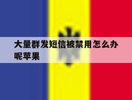 大量群发短信被禁用怎么办呢苹果