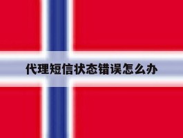 代理短信状态错误怎么办