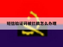 短信验证码被拦截怎么办理