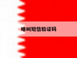 啥叫短信验证码
