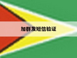 加群发短信验证