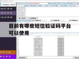 目前有哪些短信验证码平台可以使用