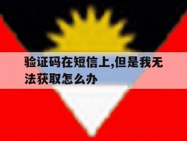 验证码在短信上,但是我无法获取怎么办