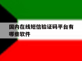 国内在线短信验证码平台有哪些软件