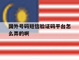 国外号码短信验证码平台怎么弄的啊